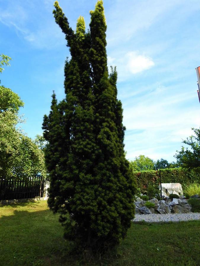 Sweet Dreams Apartment Varaždin 外观 照片